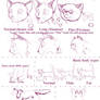How to draw Cats