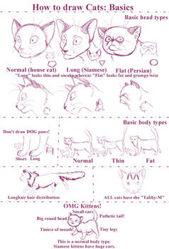 How to draw Cats