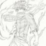 Fairy Tail - Natsu