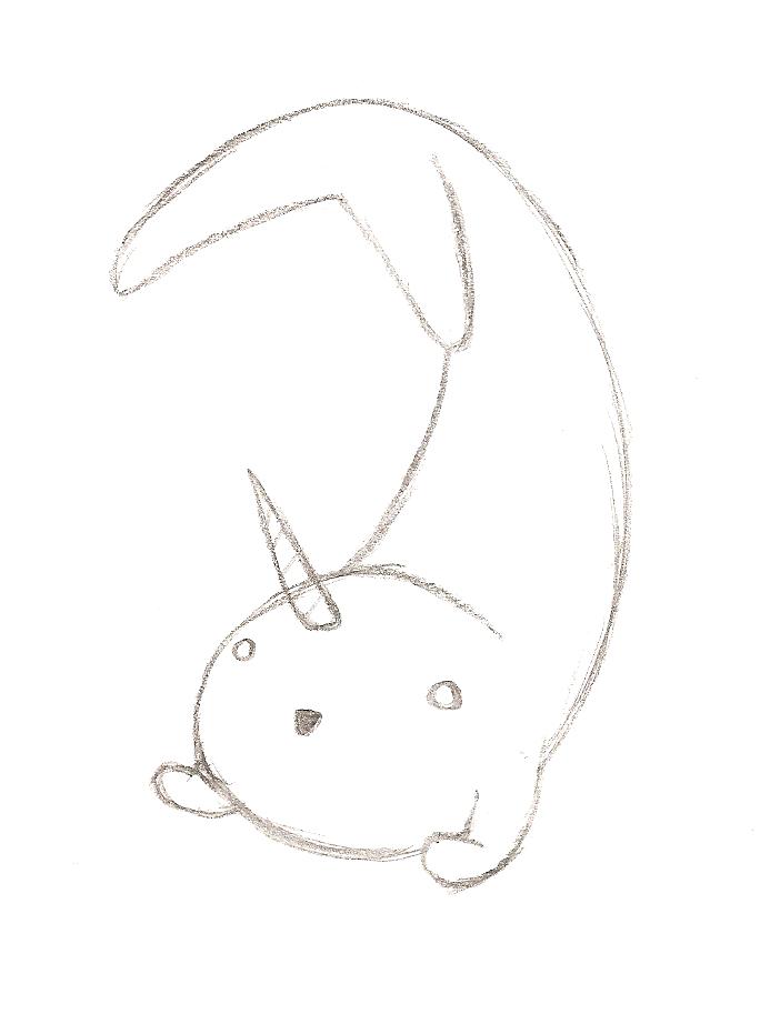 my pet narwhal