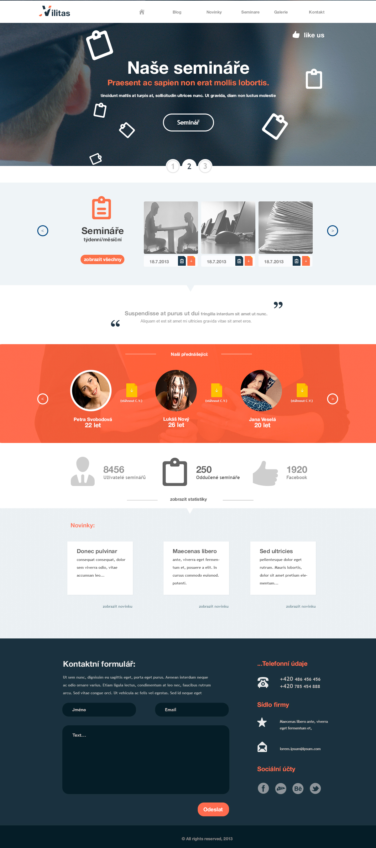 wordpress theme 2 - Vilitas