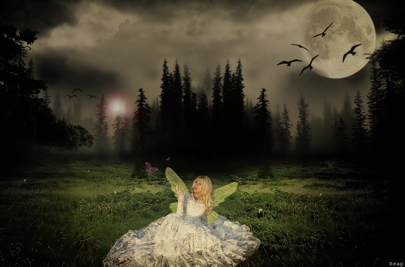 Fairy In A Dark World