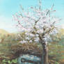 Cherry Blossoms and motor vehicle scrap
