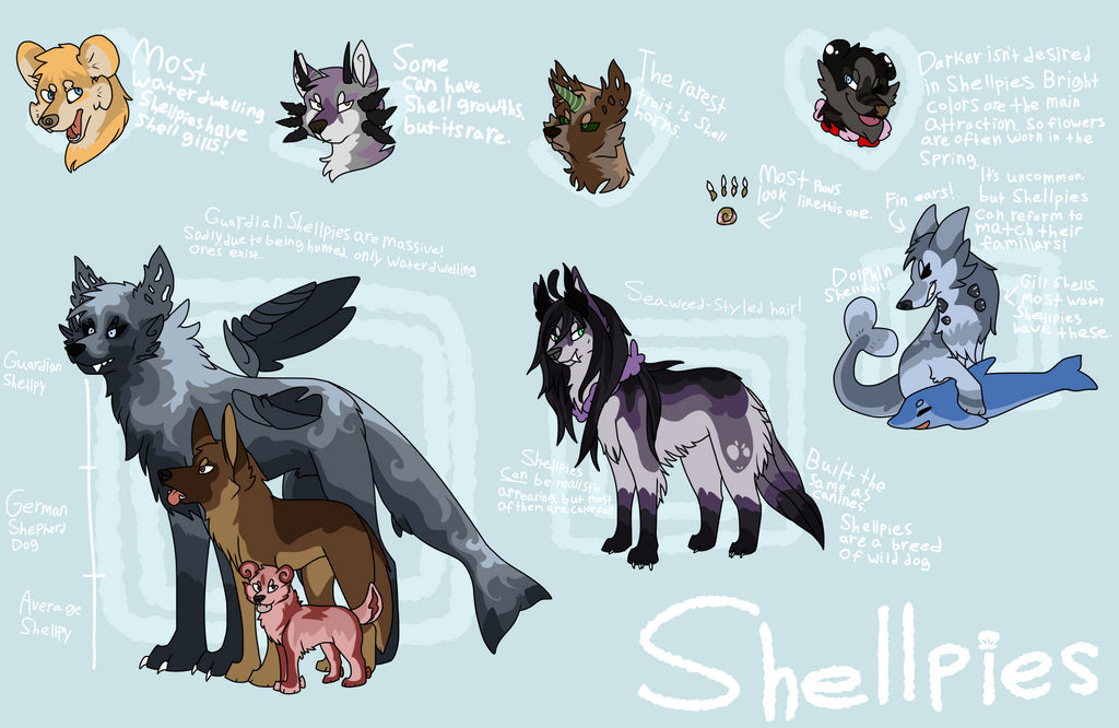 Shellpy shellpy species info by kirinoha on DeviantArt
