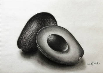 Avocado Pencil Drawing
