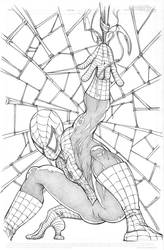 Spiderman: Web