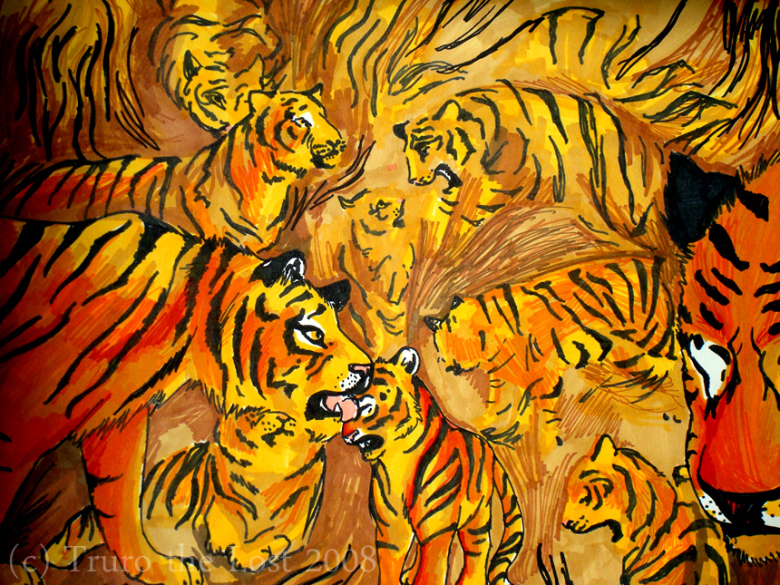 Tigers