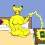 D.I.Y. Charger
