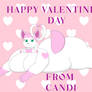 Happy Valentine's Day