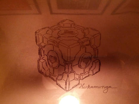 Etch A Sketch Companion Cube