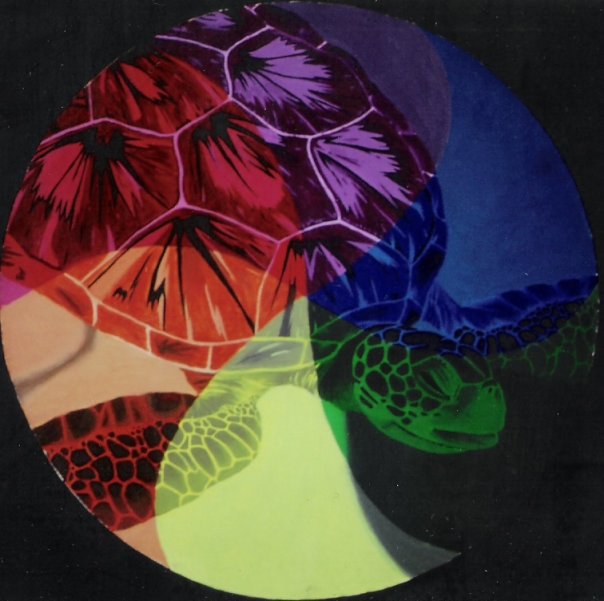 Turtle Art Color Code