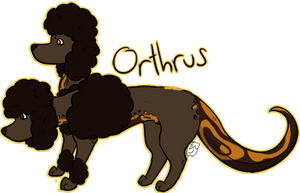 Orthrus