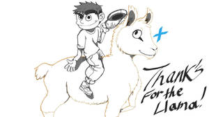 Thanks for the llama by zack-viz