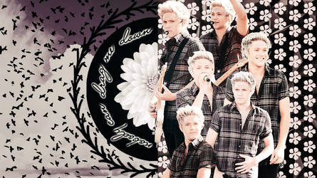 Niall Horan wallpaper #11