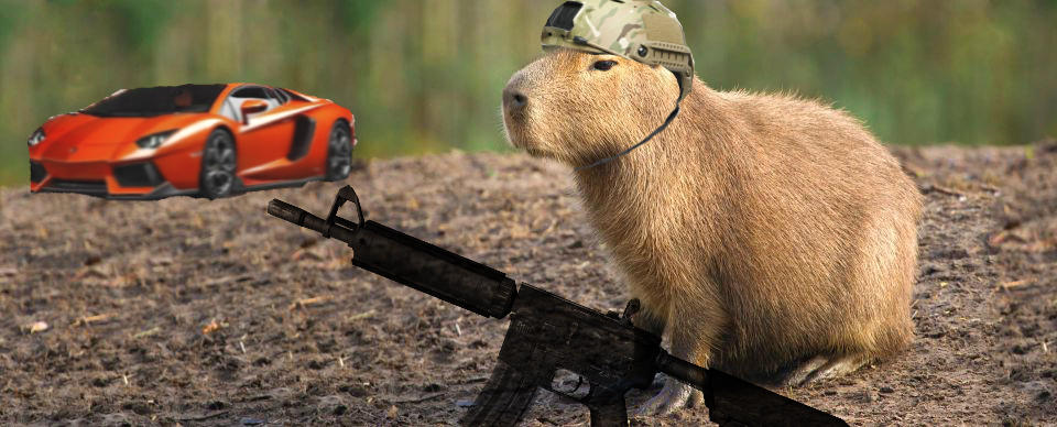 Гонки на капибарах настольная игра. Капибара снайпер. Капибара с оружием. Capybara с пистолетом. Капибара в каске.