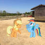 Rainbow Dash and AppleJack are at the farm