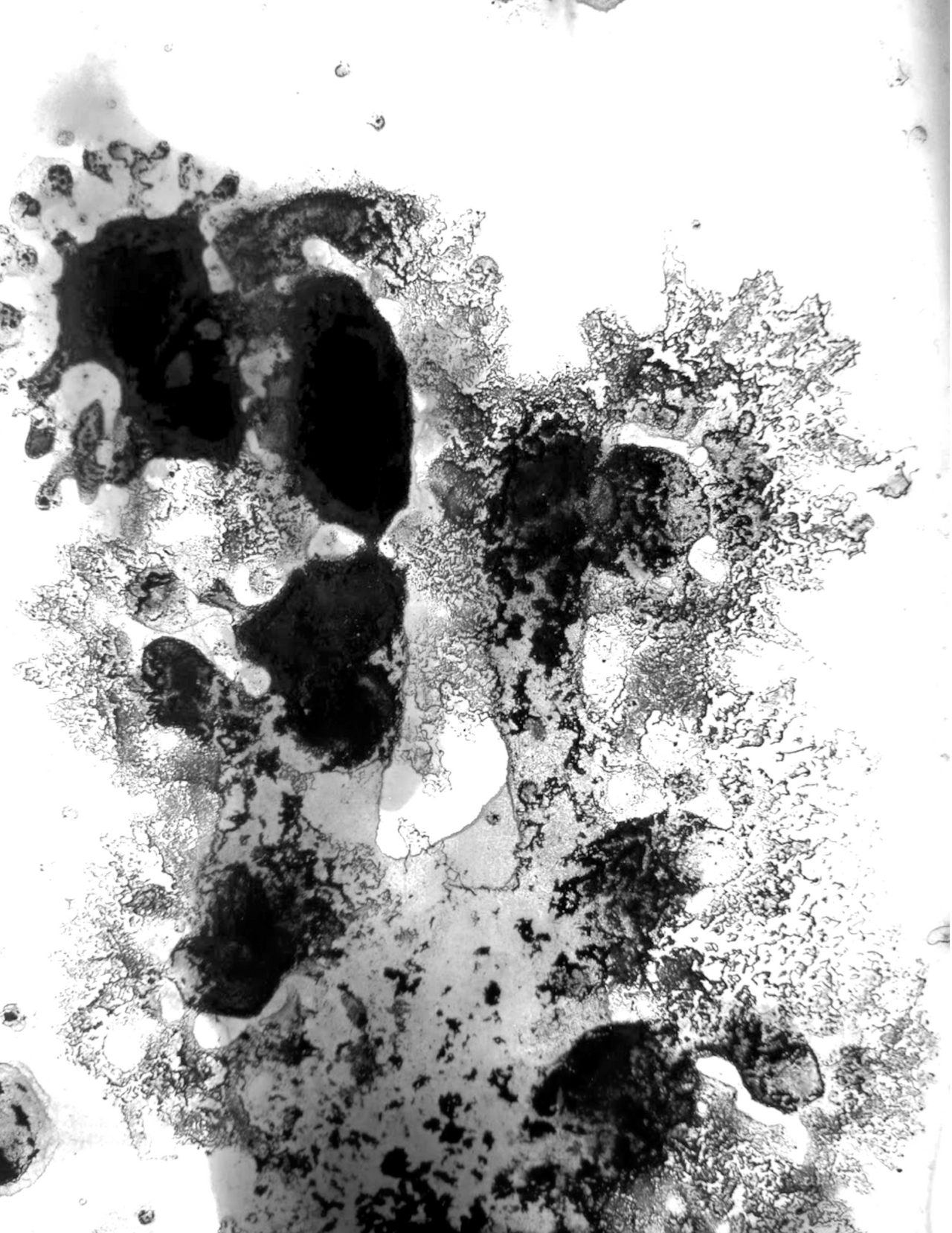 Polymorphic by ursablue on DeviantArt
