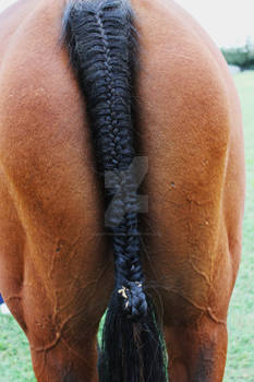 Braids by Mwuah