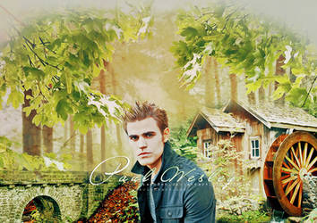 Paul wesley as Stefan