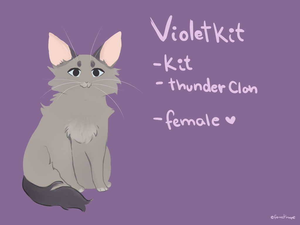 Violetkit VioletKit- Oc+ArtStyle by foresthope on DeviantArt