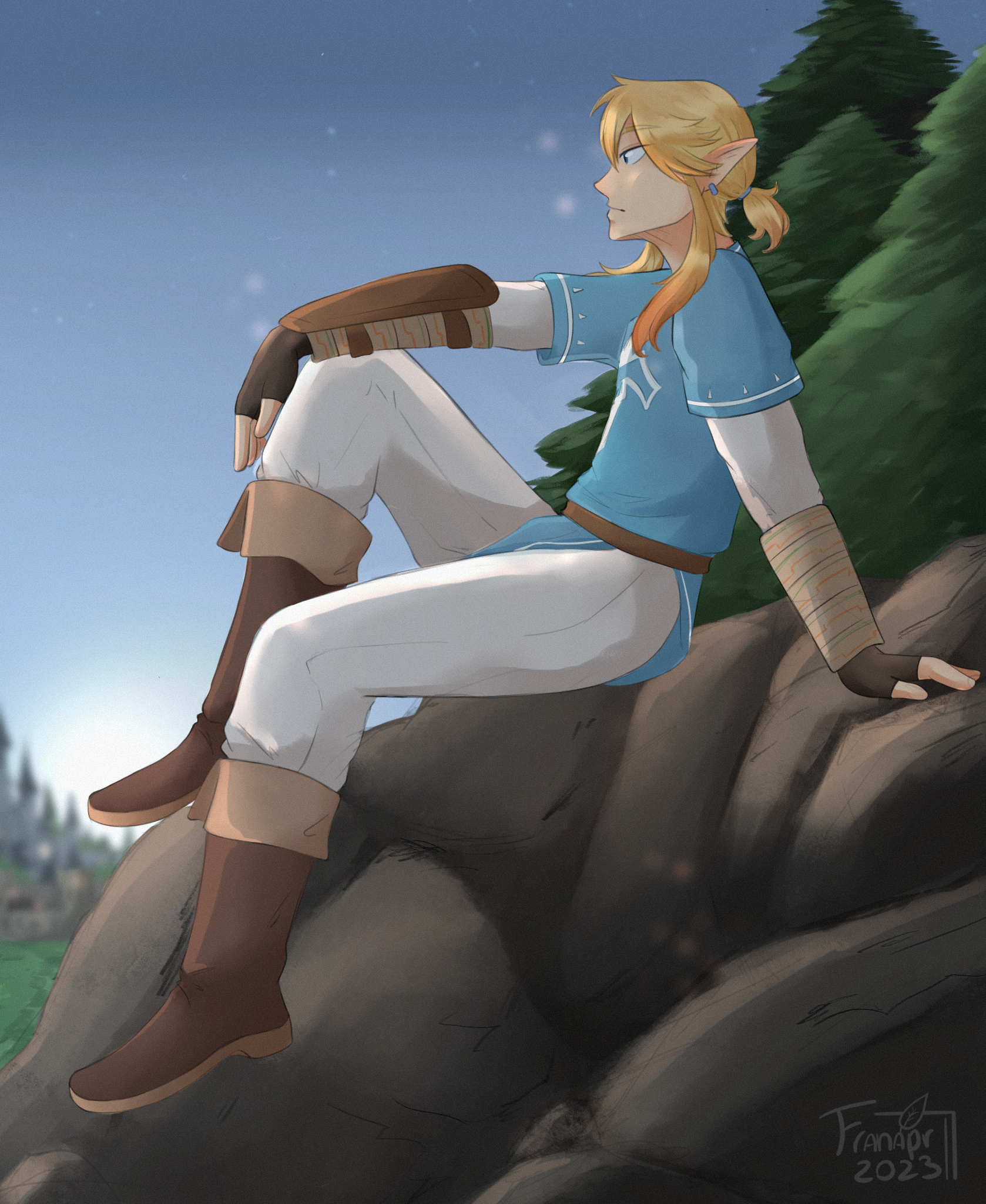 Legend Of Zelda - Link Breath Of The Wild Png,Breath Of The Wild