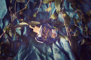 Lolita Lempicka EDP