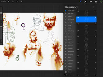 Procreate brush set