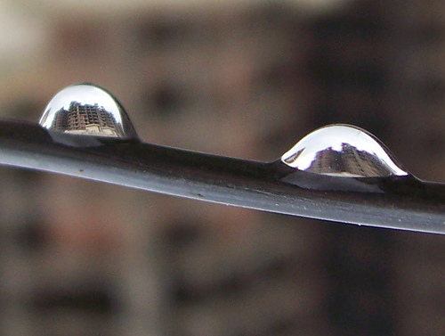 Some water drop