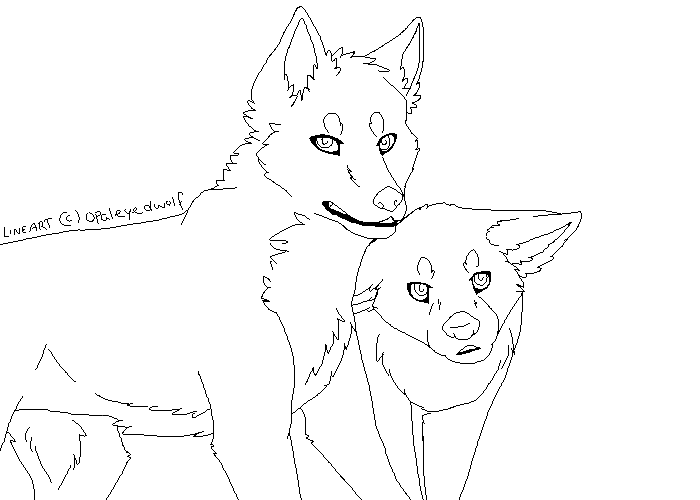 Two Wolves Together Drawing