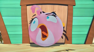 Stella imitating a pig sound