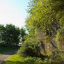 Overgrown ruin