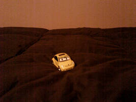 Pollen the 2001 Volkswagen new beetle