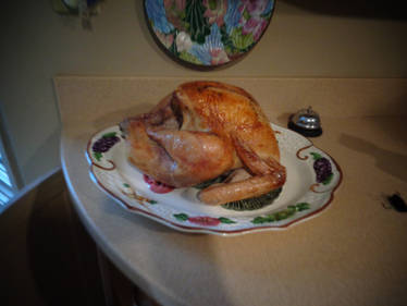 Thanksgiving turkey