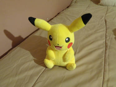 What came in the mail