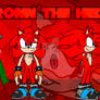 Ronn The Hedgehog reference sheet