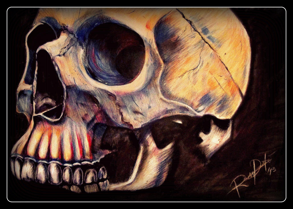 Skull_13