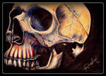 Skull_13 by MarchCoven