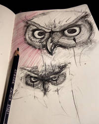 Owl 617
