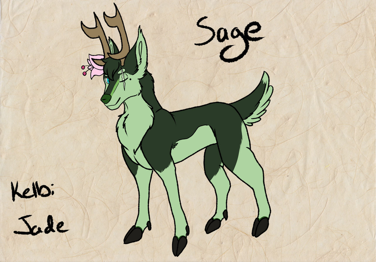 Sage