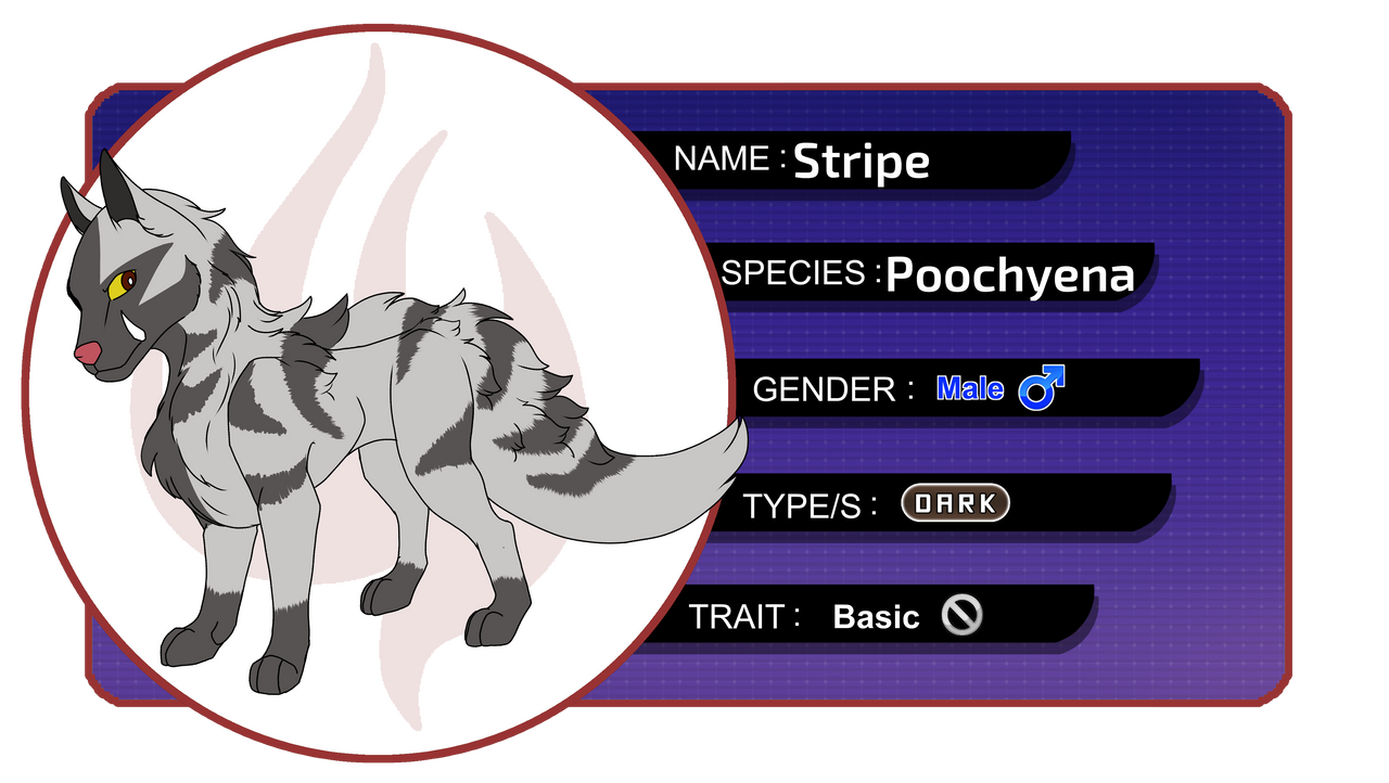 Stripe