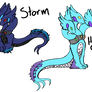 Storm and Hyacinth