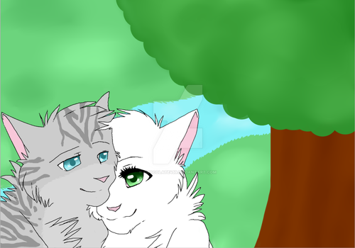 .:Jayfeather and Half Moon:.