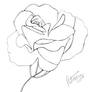 Blooming Rose line art