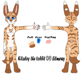 Kitaley the tobbit Ref sheet