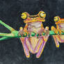 ATC Tree Frogs on a Stick