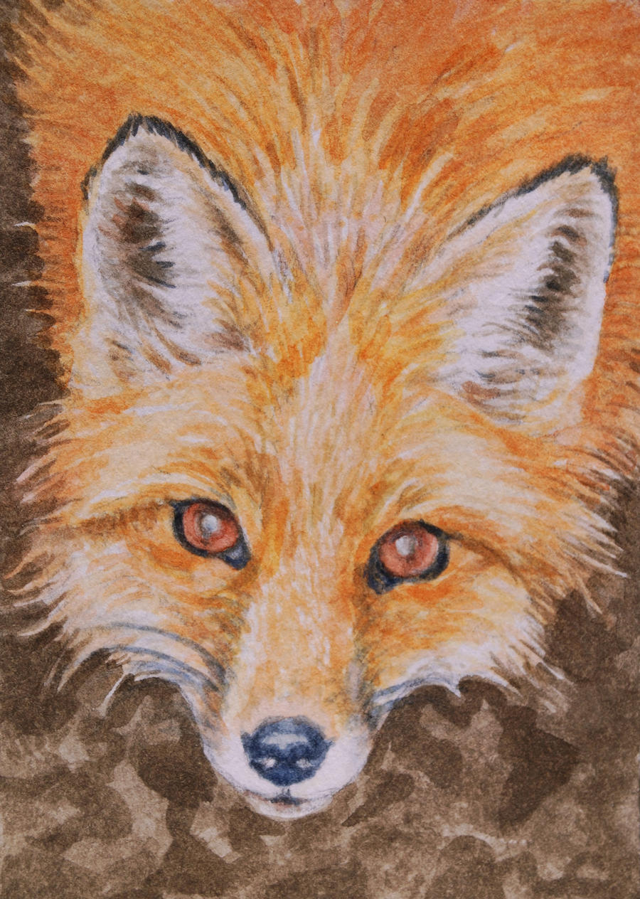 Foxy Eyes