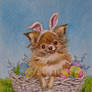 ATC Chichi Easter Bunny