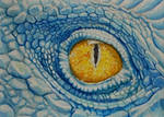 ATC Dragon Eye by waughtercolors