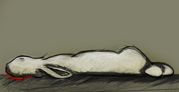 Dead Rabit Draw Dead rabbit by EfteSbum on DeviantArt