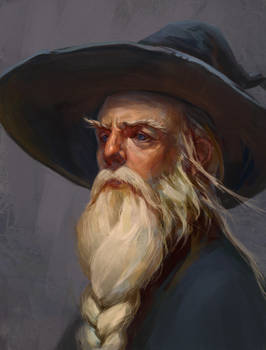 portrait of the wizard